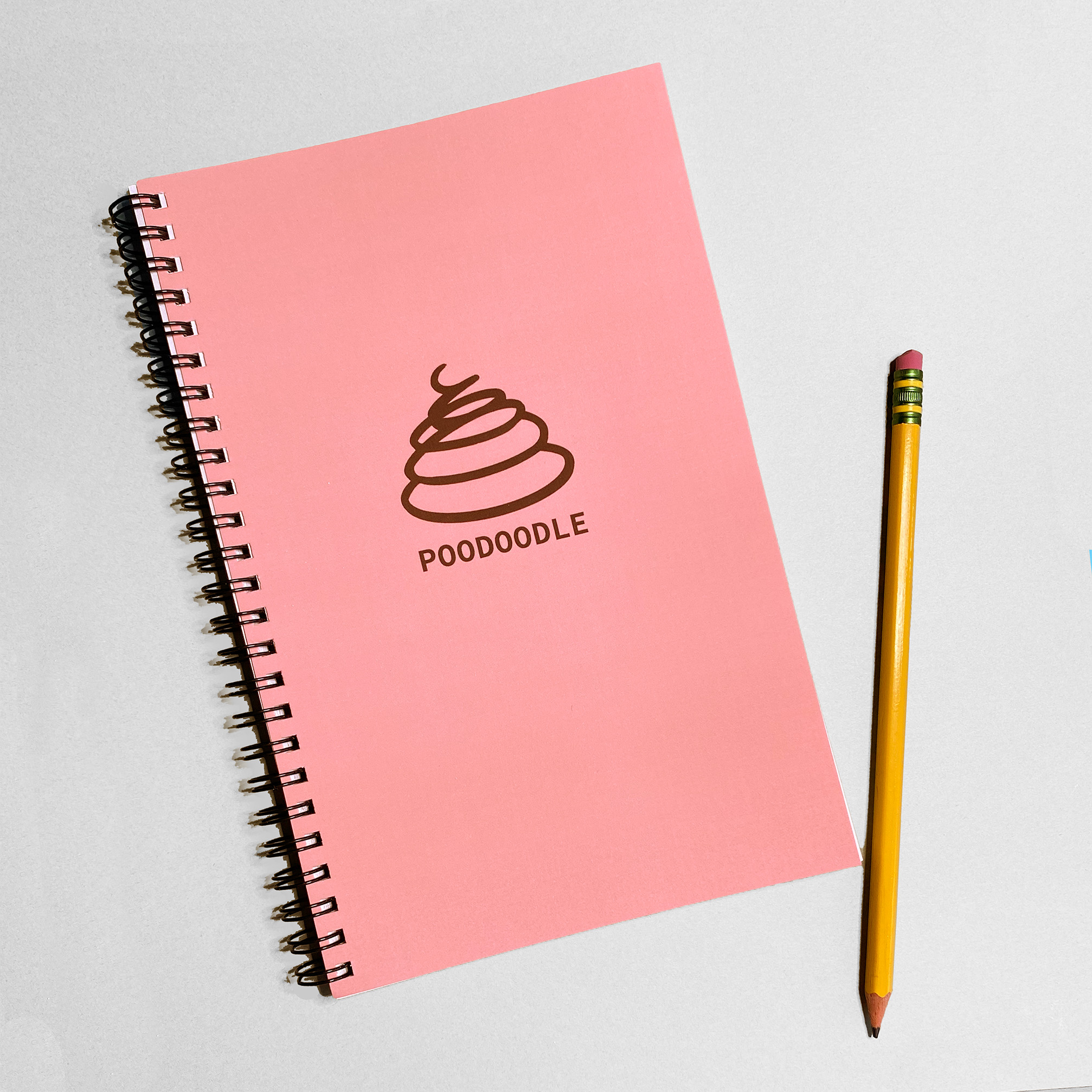 Introducing the Poodoodle Journal